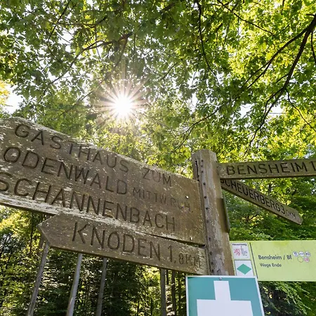 Wohnpark Heppenheim Ξενοδοχείο Heppenheim (Bergstrasse)